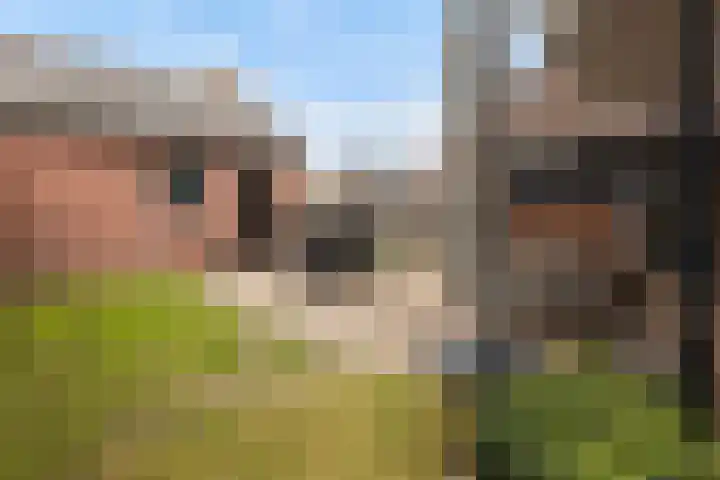 Pastoor Eshuisstraat 1 Harbrinkhoek thumbnail 30