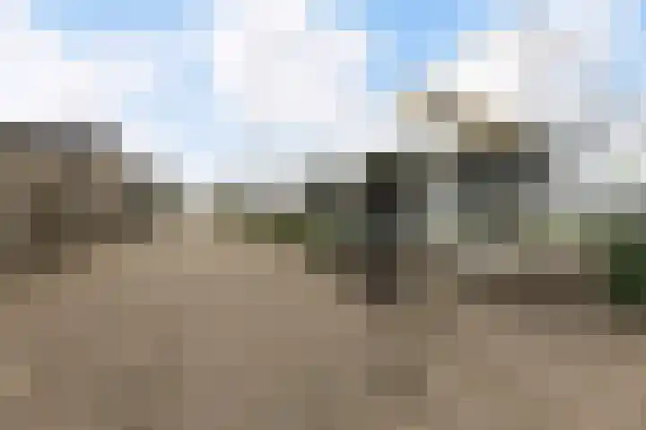 Pastoor Eshuisstraat 1 Harbrinkhoek thumbnail 33