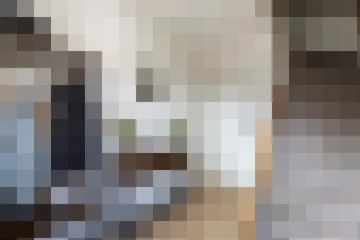 Pastoor Eshuisstraat 1 Harbrinkhoek thumbnail 6