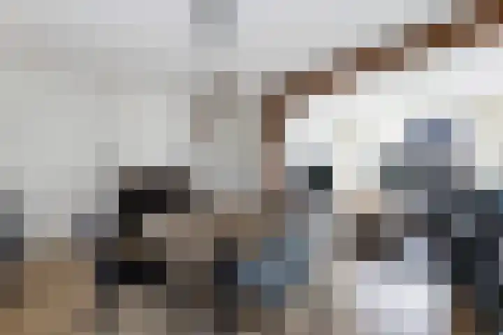Pastoor Eshuisstraat 1 Harbrinkhoek thumbnail 8