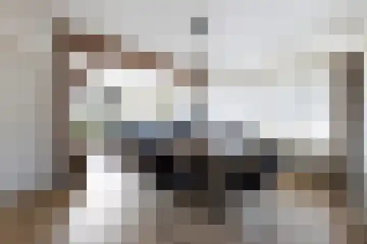 Pastoor Eshuisstraat 1 Harbrinkhoek thumbnail 9