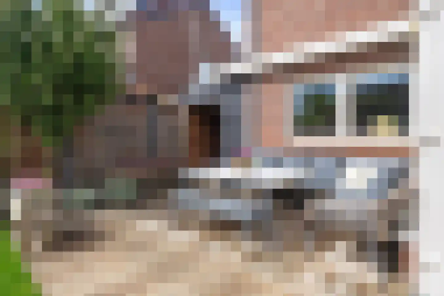 Pastoor Frischestraat 7 Meijel thumbnail 41