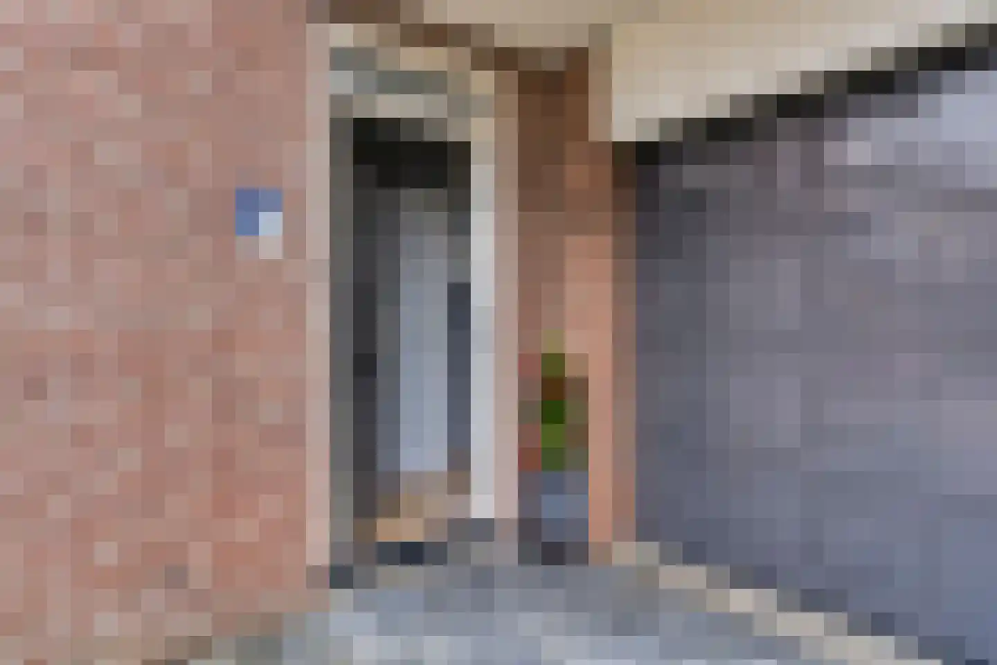Pastoor Fronhoffstraat 10 's-Heerenhoek thumbnail 5