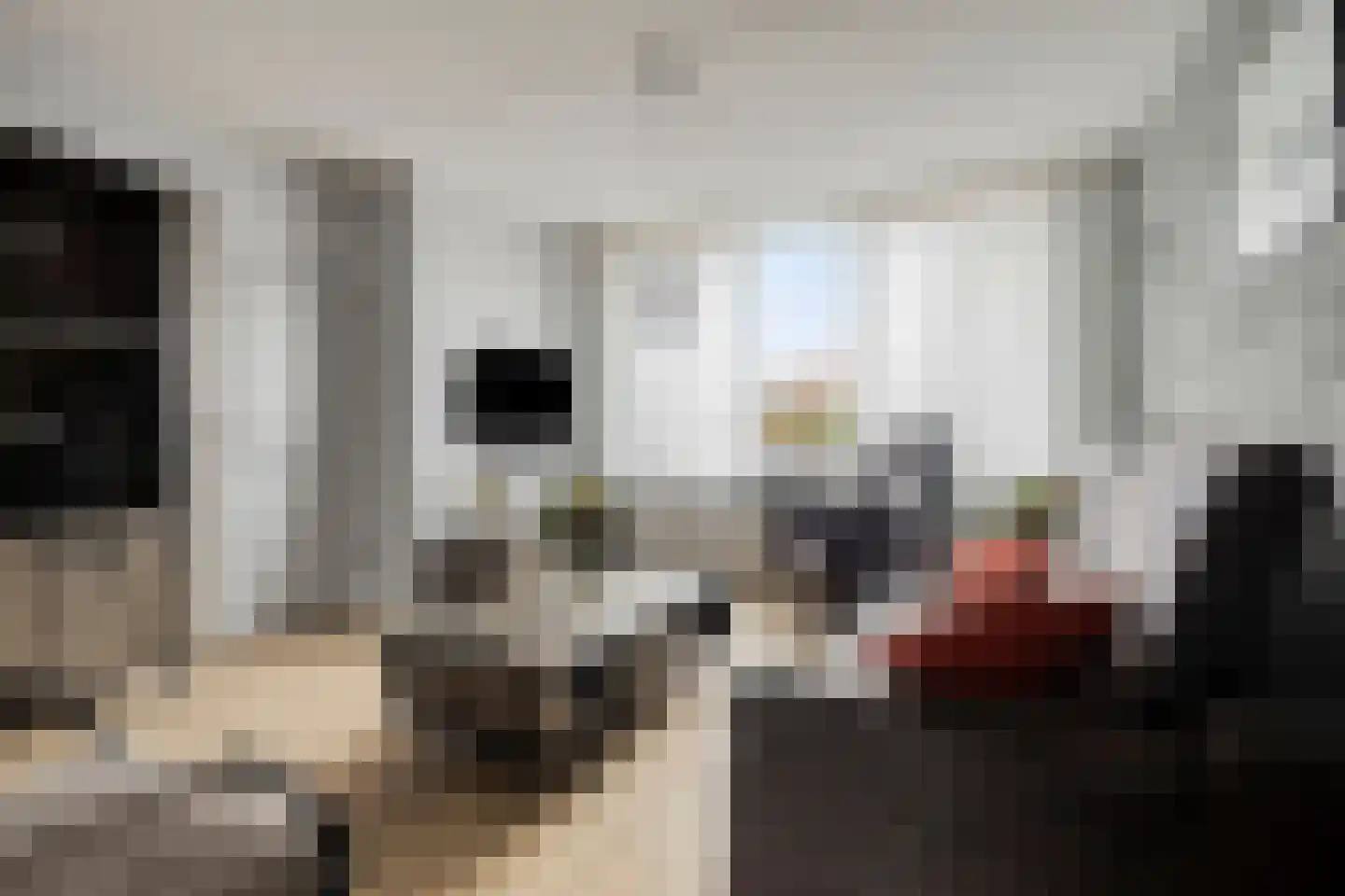 Pastoor Fronhoffstraat 10 's-Heerenhoek thumbnail 7
