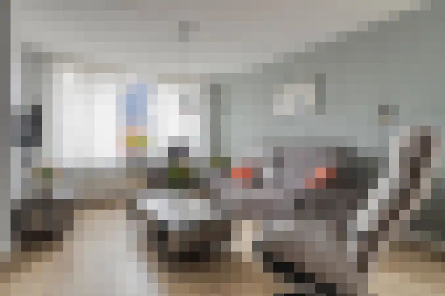 Pastoor Fronhoffstraat 10 's-Heerenhoek thumbnail 8