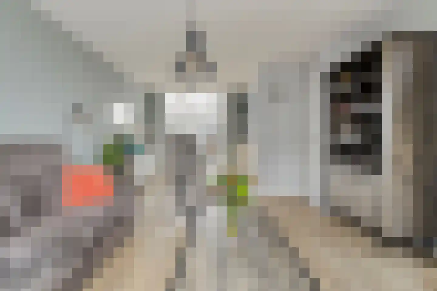 Pastoor Fronhoffstraat 10 's-Heerenhoek thumbnail 9