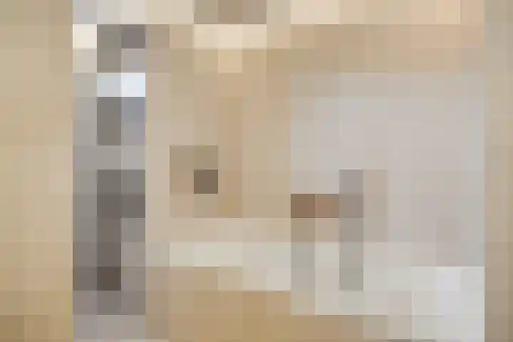 Pastoor Geerdinkstraat 27 Oldenzaal thumbnail 19