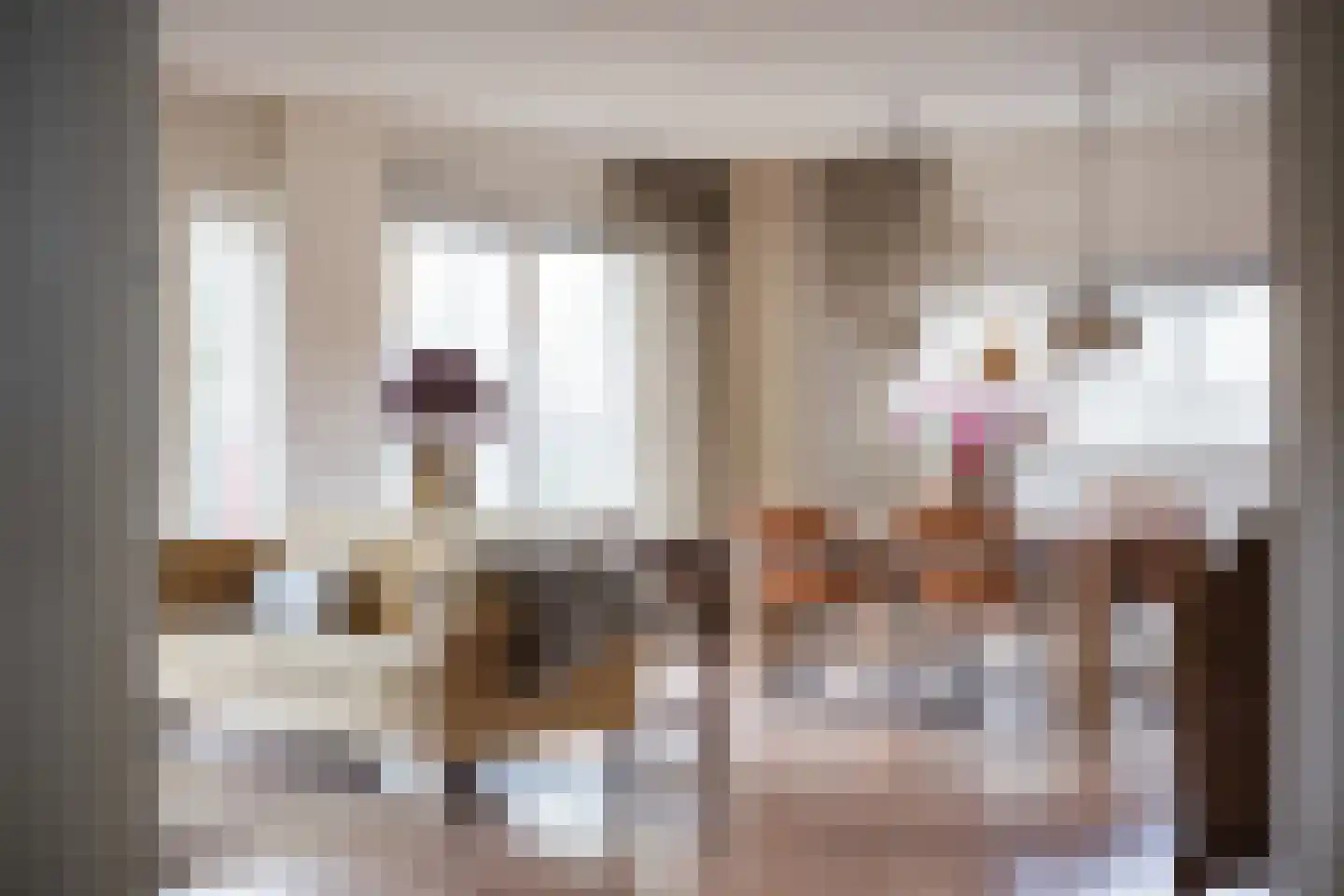 Pastoor Geerdinkstraat 6 24 de Lutte thumbnail 10