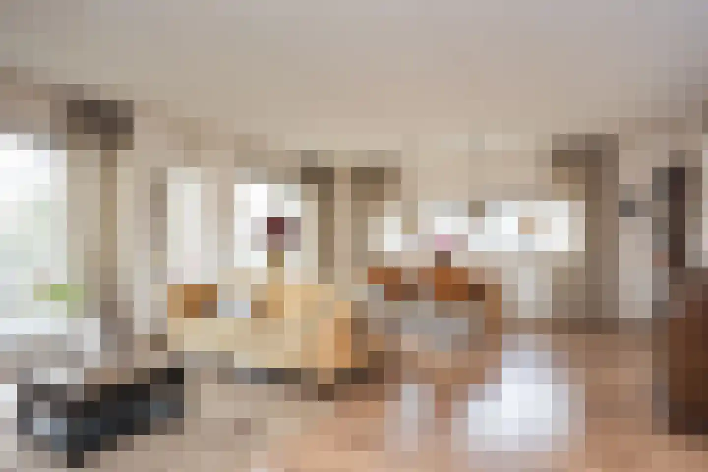 Pastoor Geerdinkstraat 6 24 de Lutte thumbnail 7