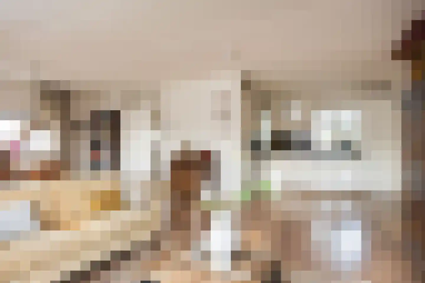 Pastoor Geerdinkstraat 6 24 de Lutte thumbnail 8