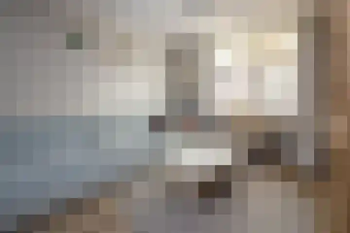 Pastoor Gielenstraat 20 Lutjebroek thumbnail 10