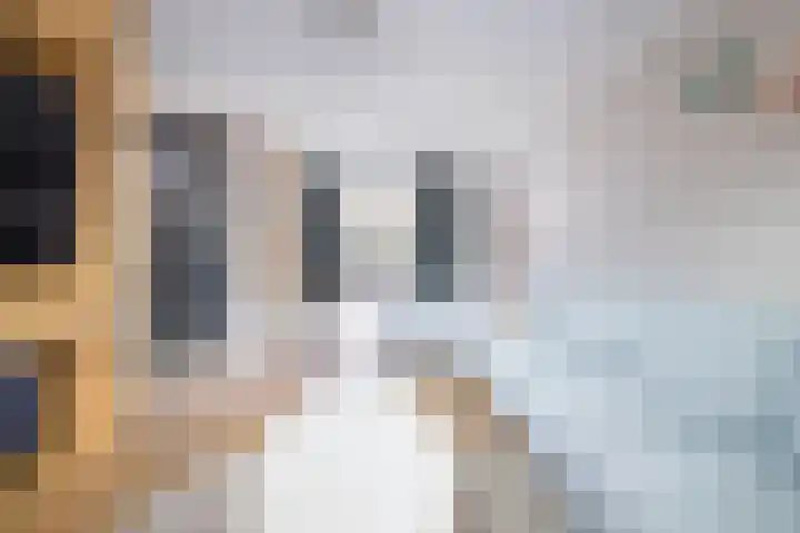 Pastoor Gielenstraat 20 Lutjebroek thumbnail 11