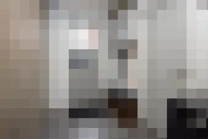 Pastoor Gielenstraat 20 Lutjebroek thumbnail 15
