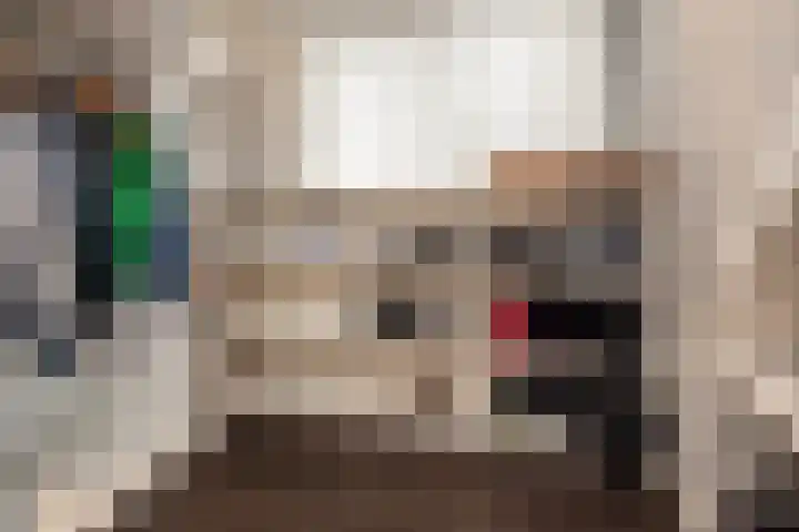 Pastoor Gielenstraat 20 Lutjebroek thumbnail 20