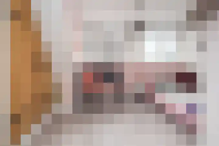 Pastoor Gielenstraat 20 Lutjebroek thumbnail 25