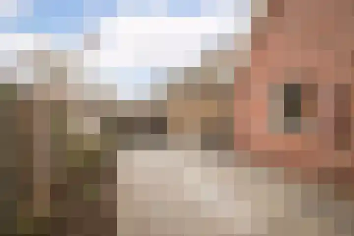 Pastoor Gielenstraat 20 Lutjebroek thumbnail 31