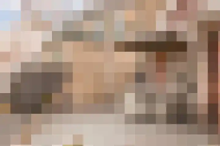 Pastoor Gielenstraat 20 Lutjebroek thumbnail 36