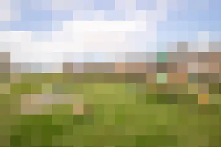 Pastoor Gielenstraat 20 Lutjebroek thumbnail 39