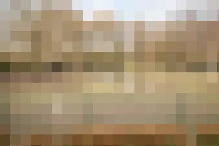 Pastoor Gielenstraat 20 Lutjebroek thumbnail 40