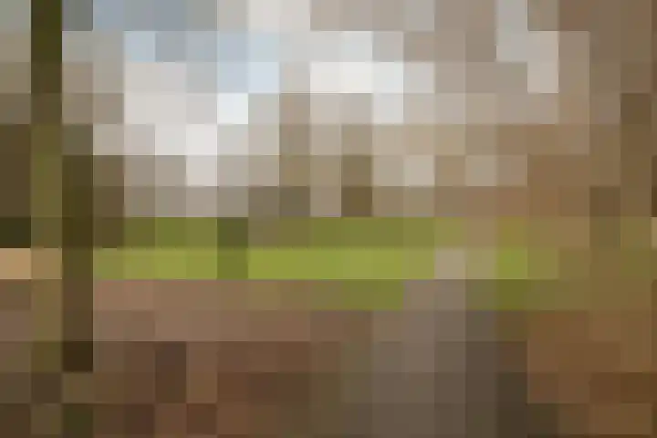 Pastoor Gielenstraat 20 Lutjebroek thumbnail 41