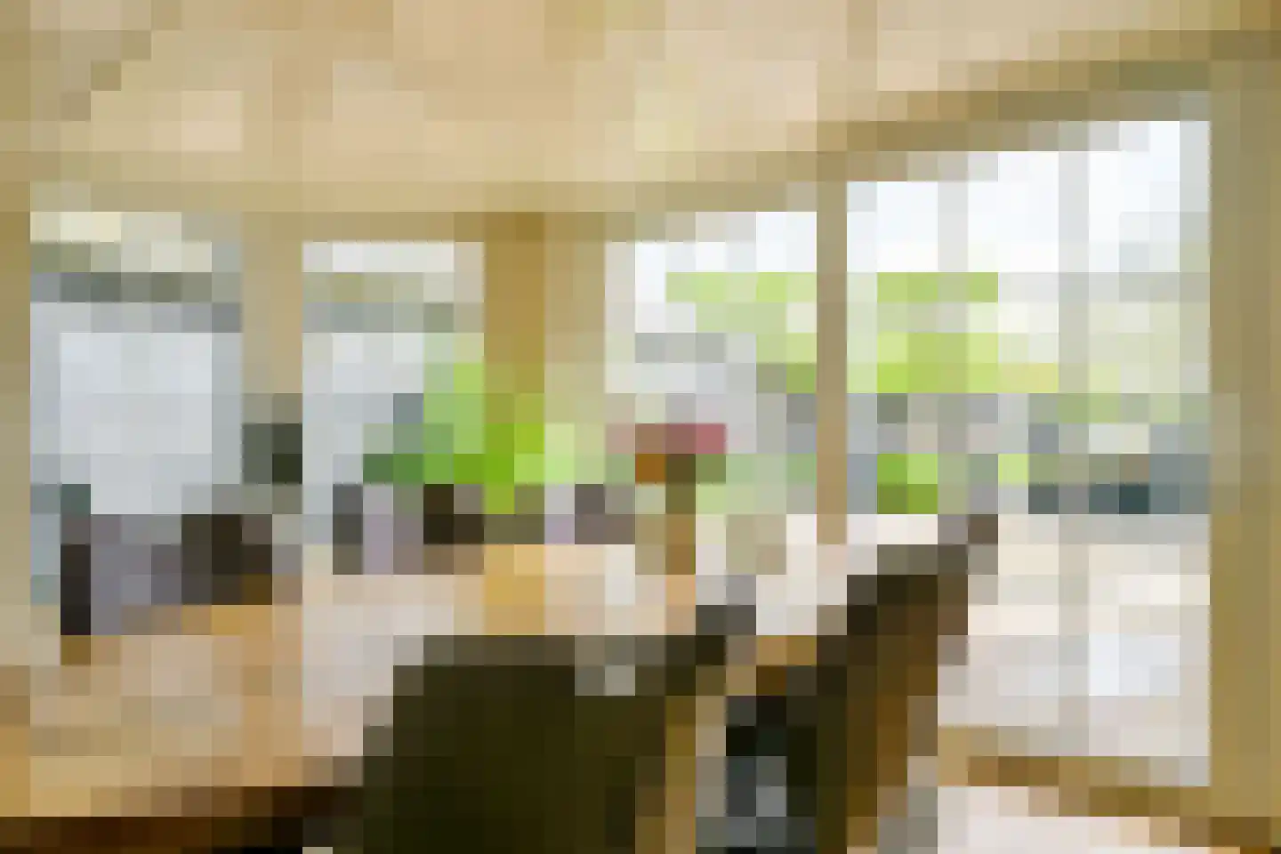 Pastoor Gielenstraat 3 Lutjebroek thumbnail 11