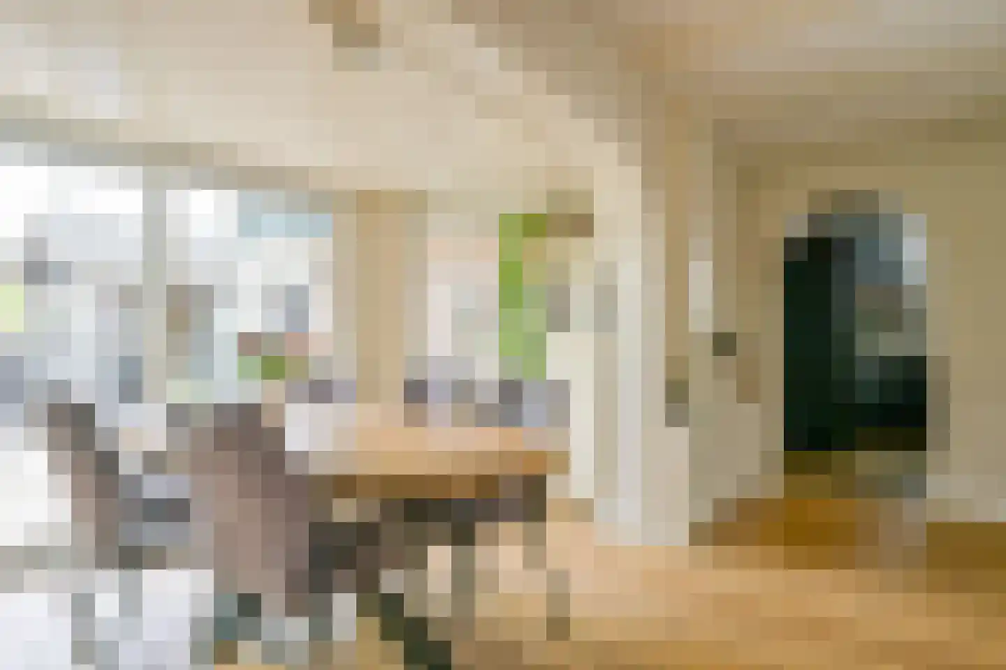Pastoor Gielenstraat 3 Lutjebroek thumbnail 12