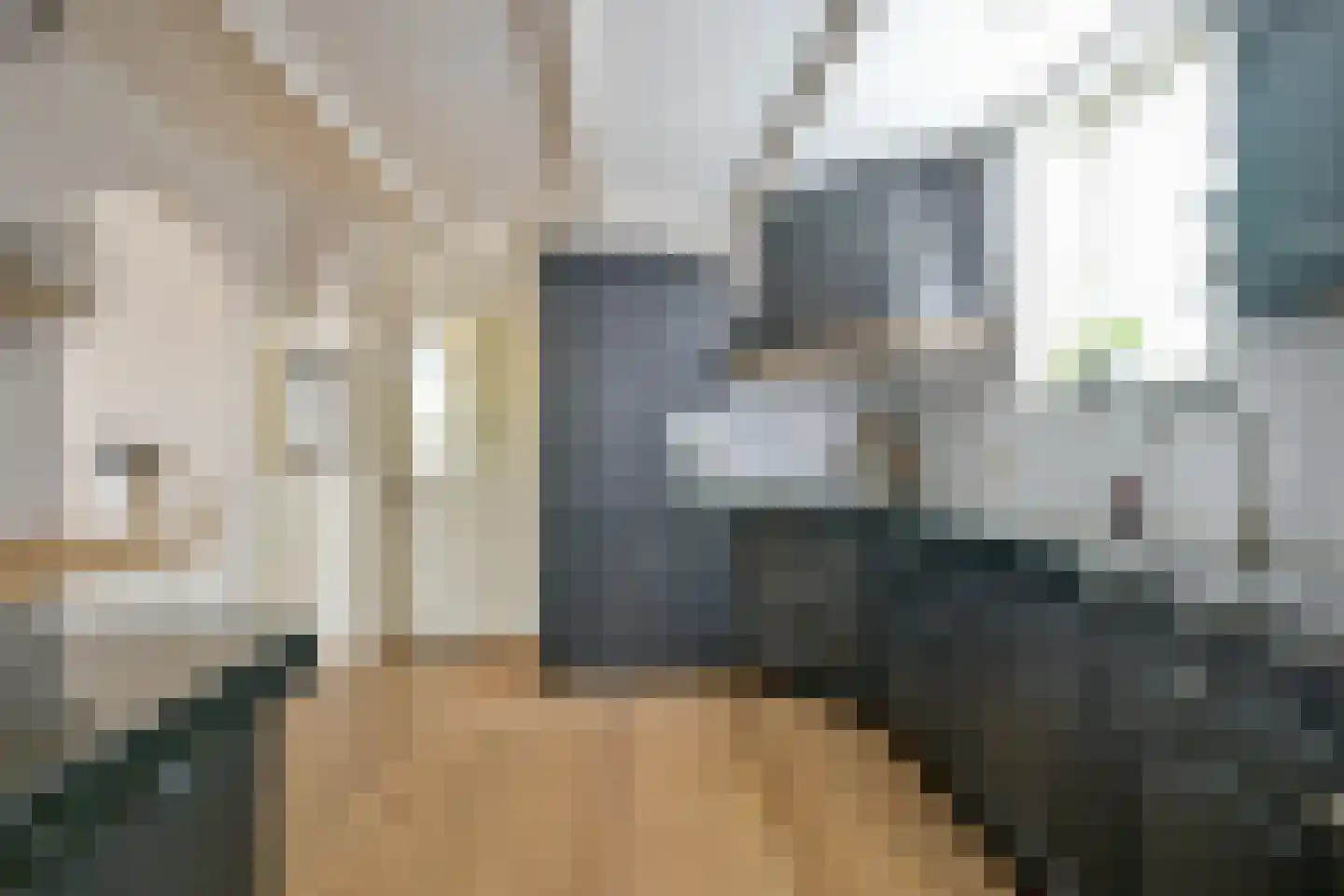 Pastoor Gielenstraat 3 Lutjebroek thumbnail 15