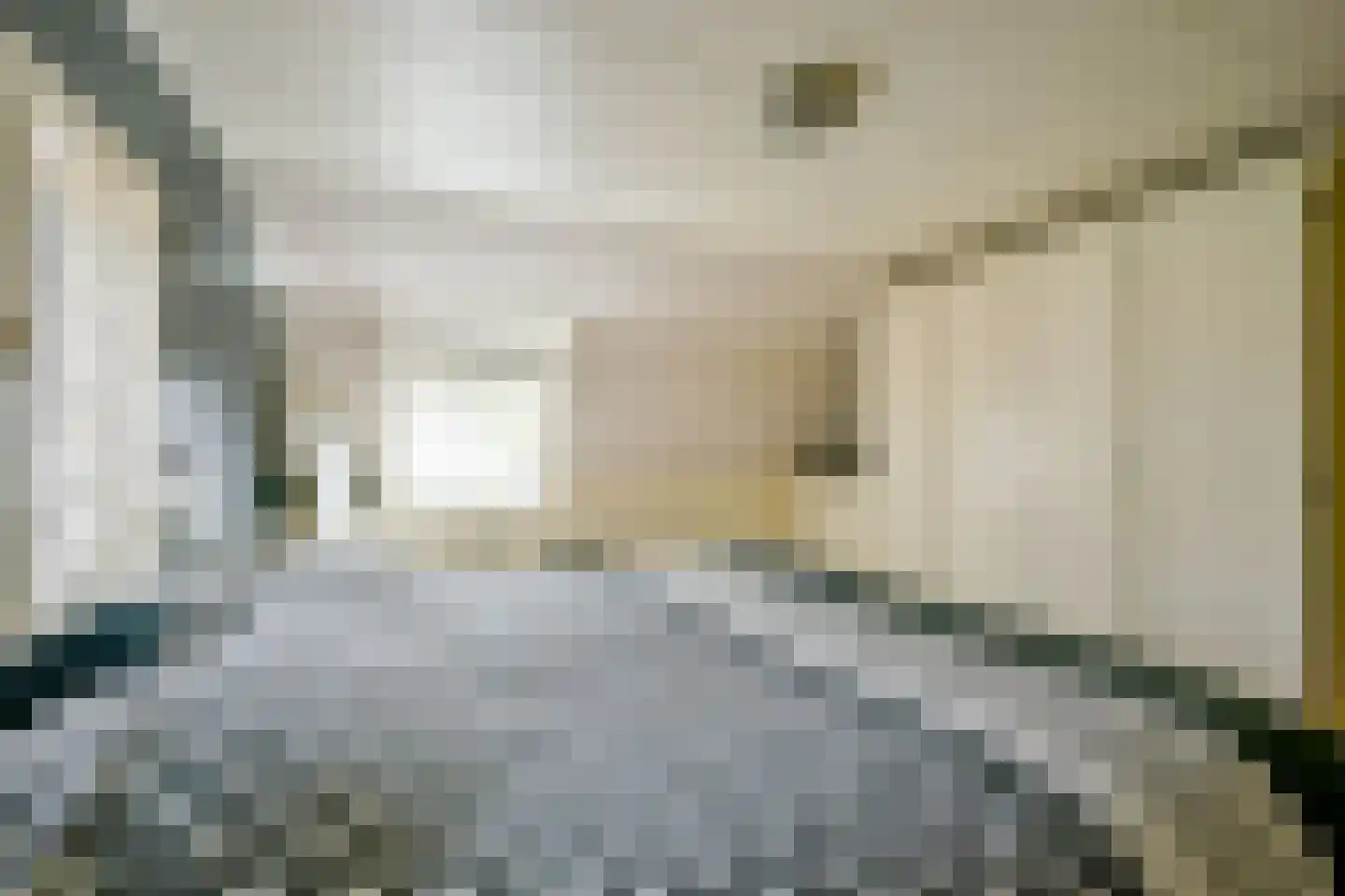 Pastoor Gielenstraat 3 Lutjebroek thumbnail 22