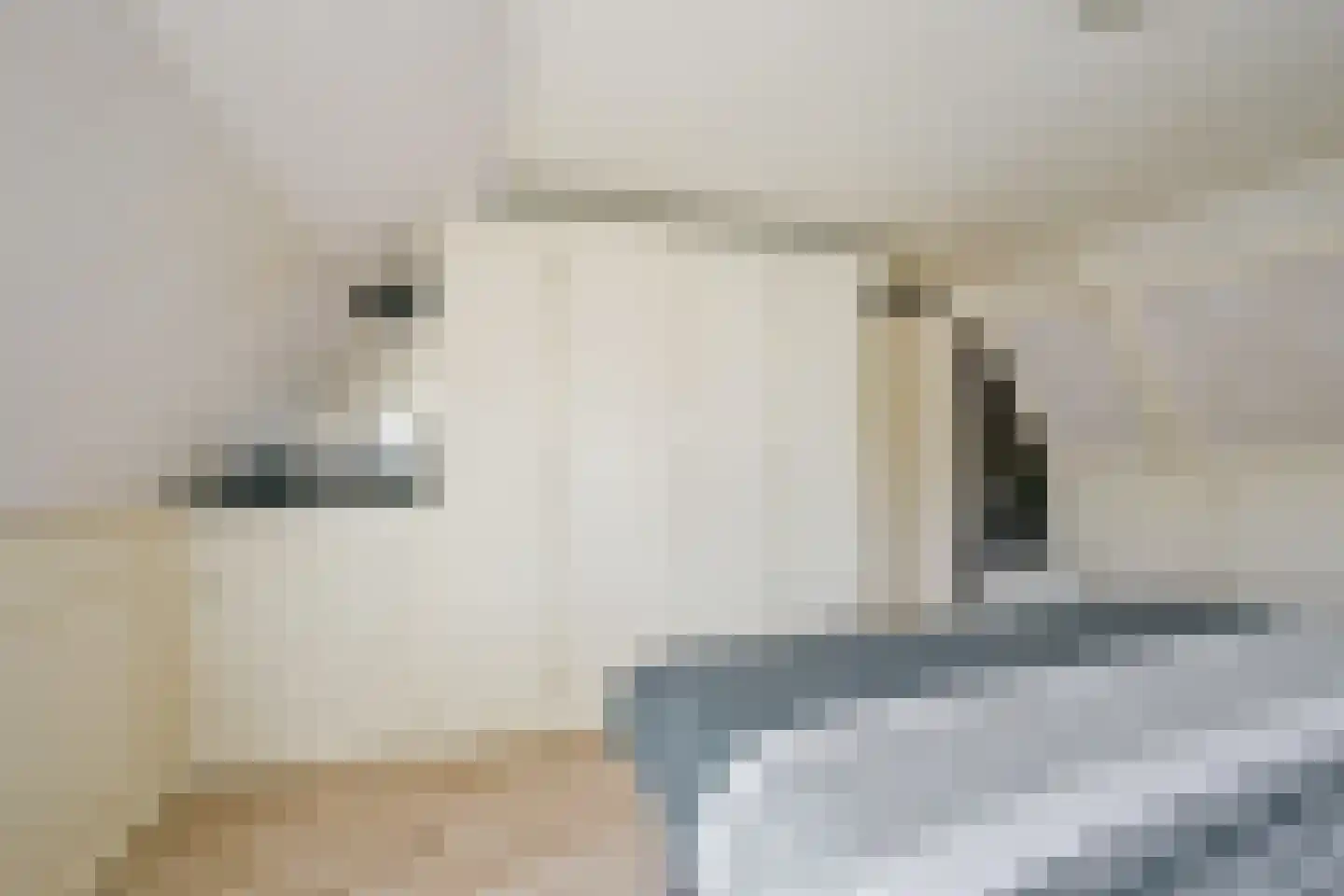 Pastoor Gielenstraat 3 Lutjebroek thumbnail 23
