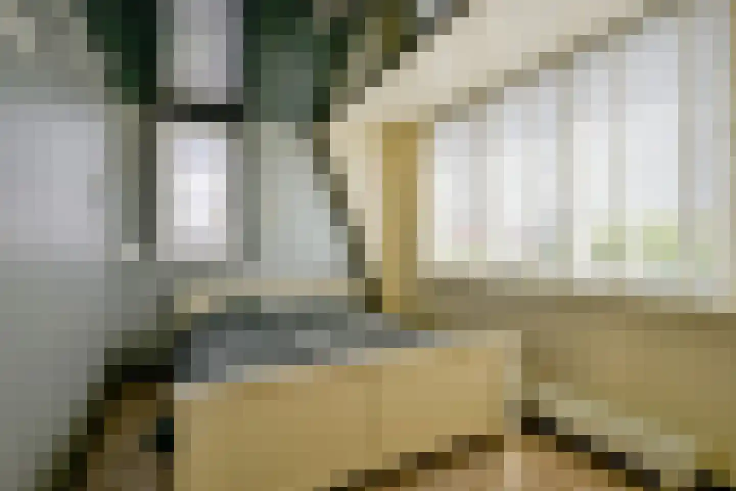 Pastoor Gielenstraat 3 Lutjebroek thumbnail 25