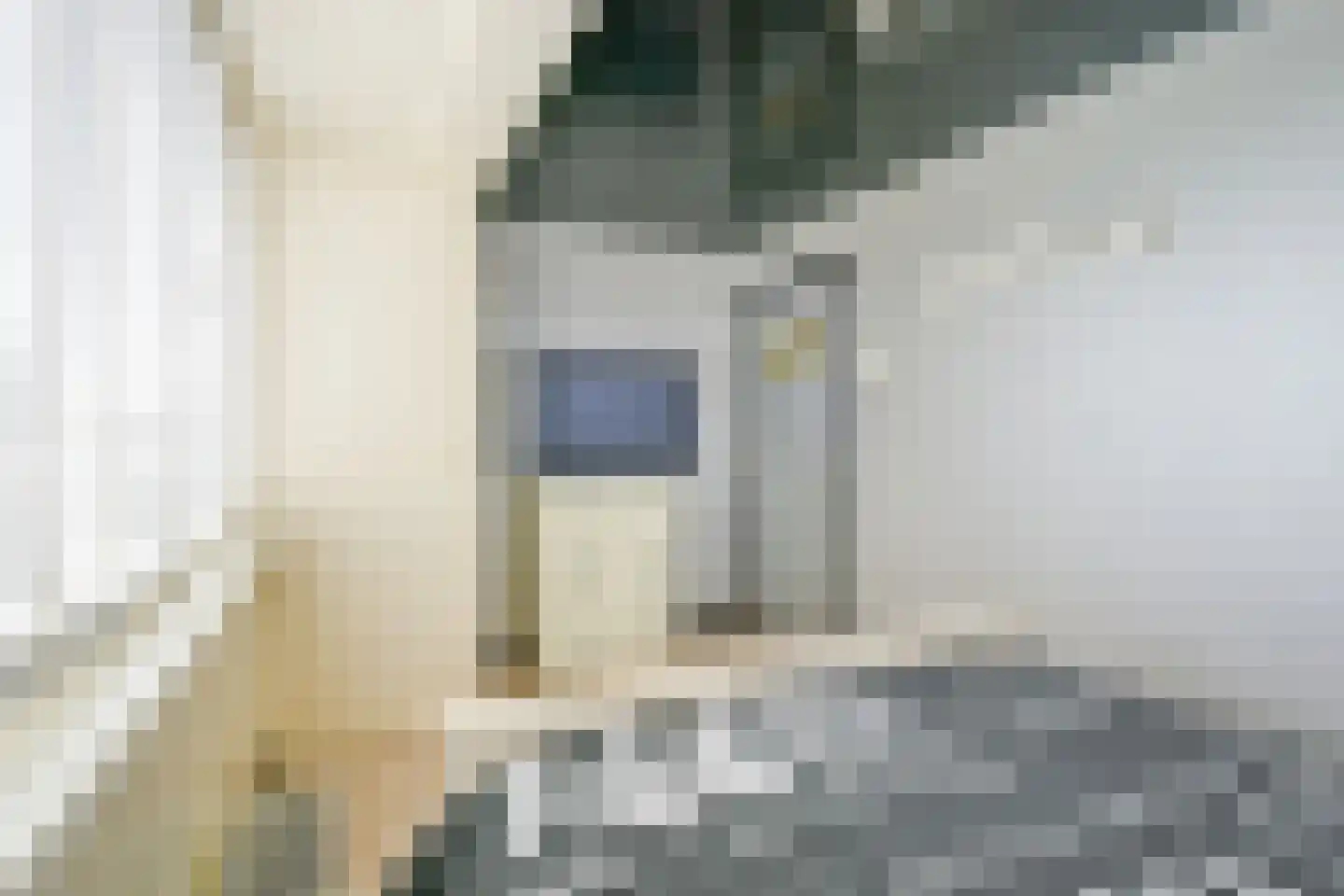 Pastoor Gielenstraat 3 Lutjebroek thumbnail 26