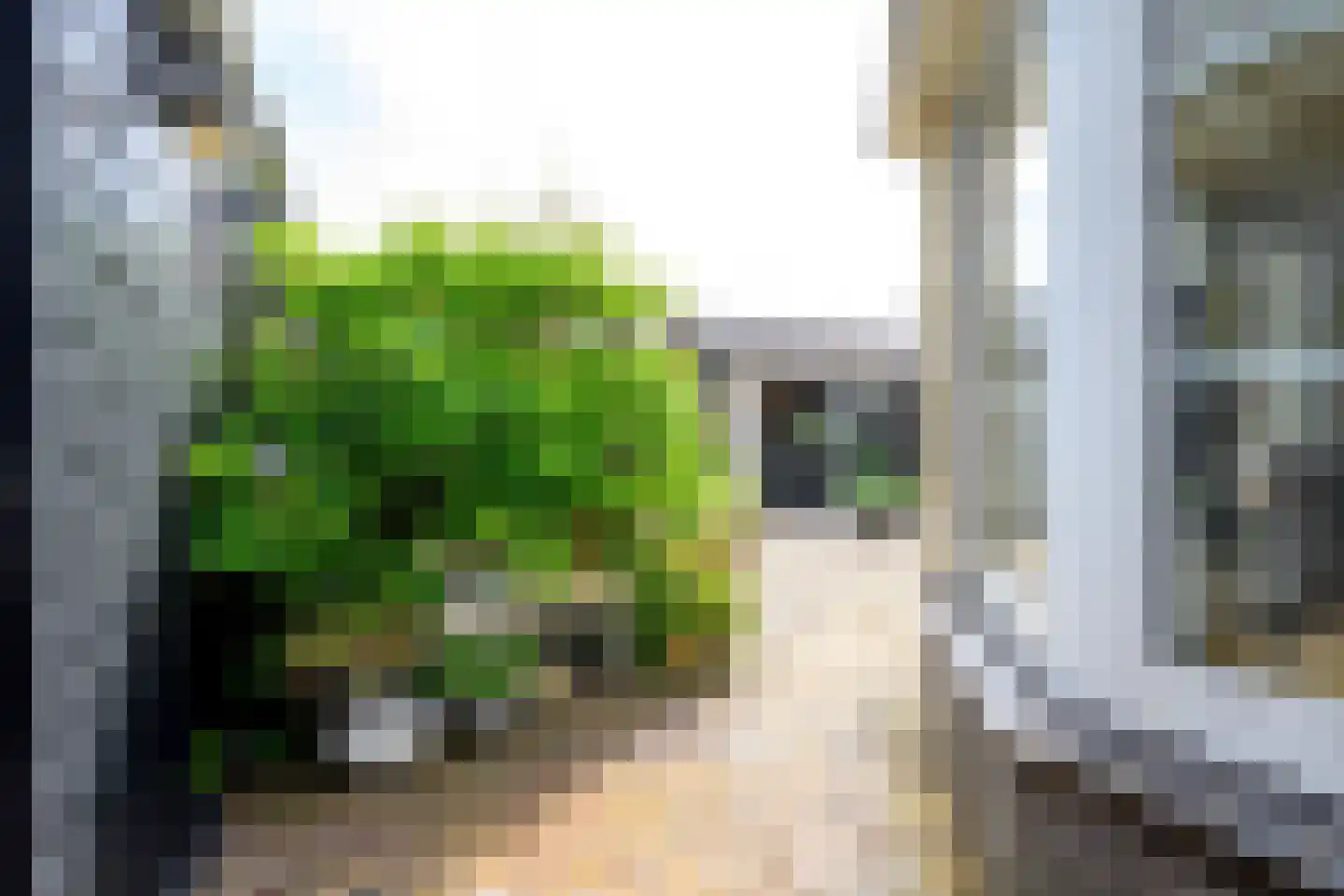 Pastoor Gielenstraat 3 Lutjebroek thumbnail 34