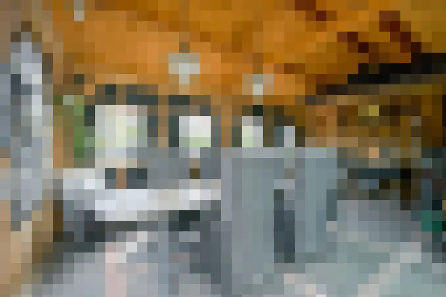 Pastoor Gielenstraat 3 Lutjebroek thumbnail 38