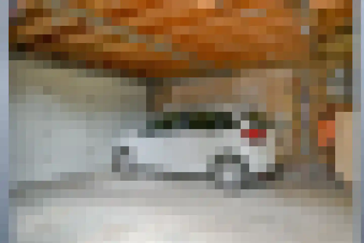 Pastoor Gielenstraat 3 Lutjebroek thumbnail 42