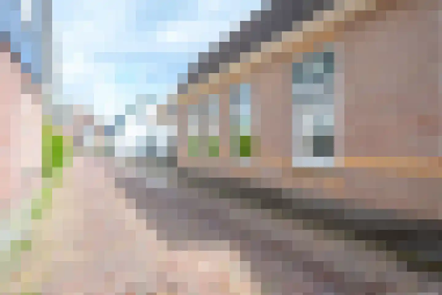 Pastoor Gielenstraat 3 Lutjebroek thumbnail 49