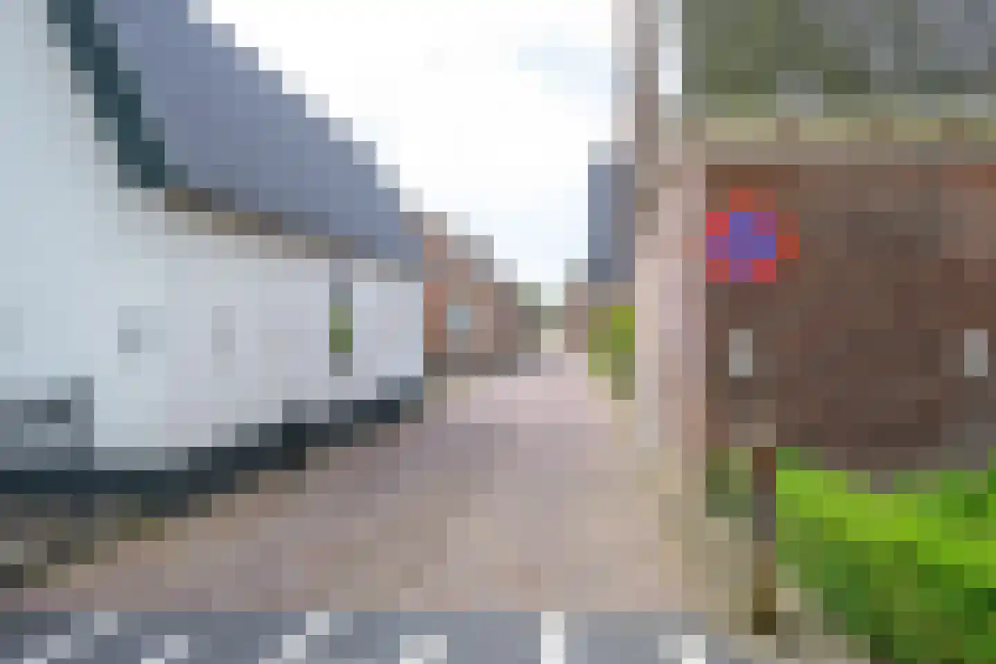 Pastoor Gielenstraat 3 Lutjebroek thumbnail 50