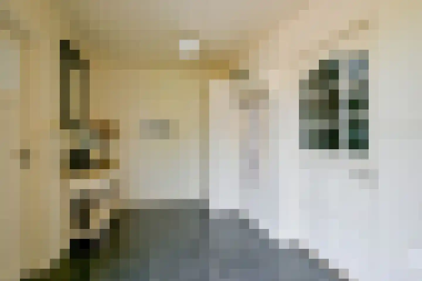 Pastoor Gielenstraat 3 Lutjebroek thumbnail 6