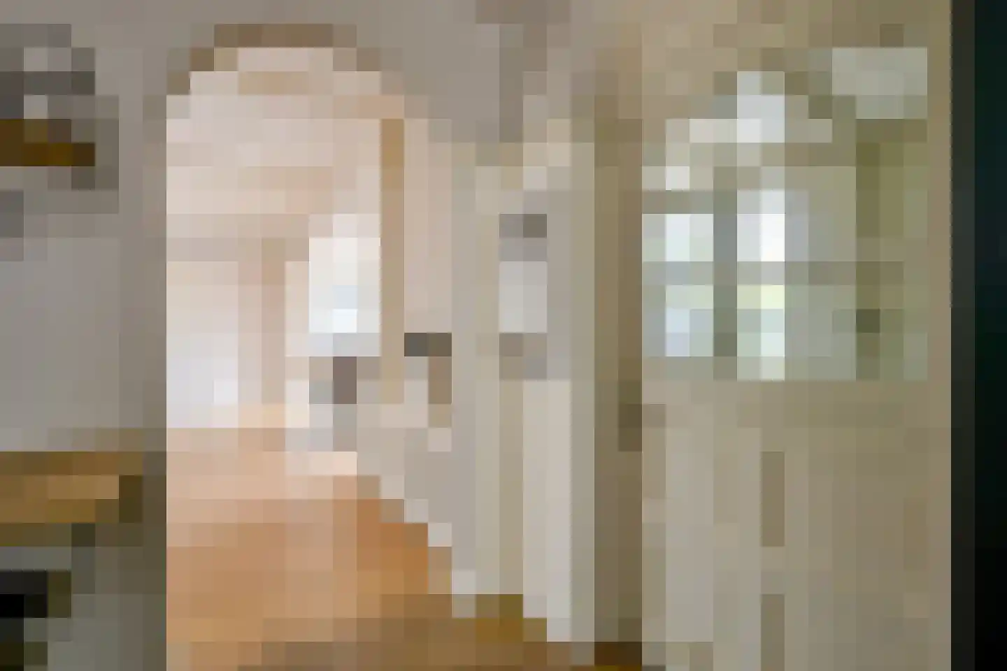 Pastoor Gielenstraat 3 Lutjebroek thumbnail 7