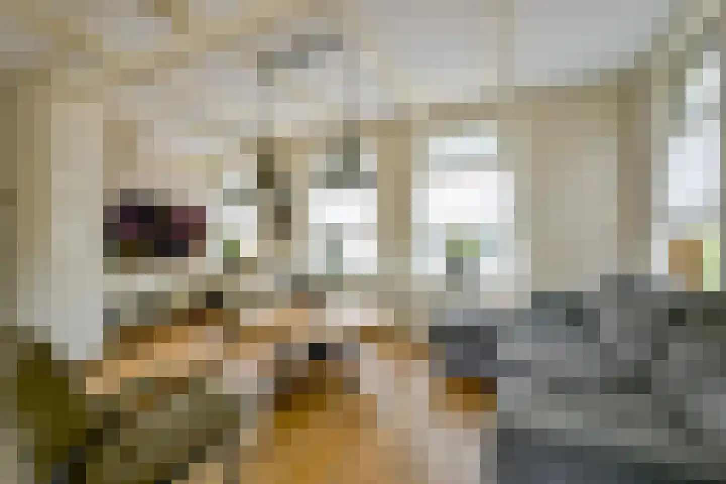 Pastoor Gielenstraat 3 Lutjebroek thumbnail 9