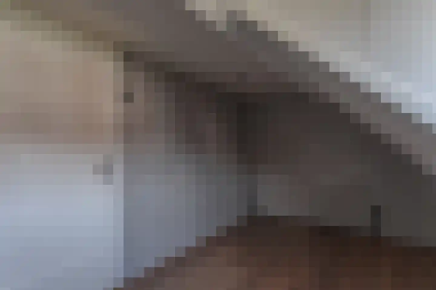 Pastoor Gielenstraat 38 Lutjebroek thumbnail 22
