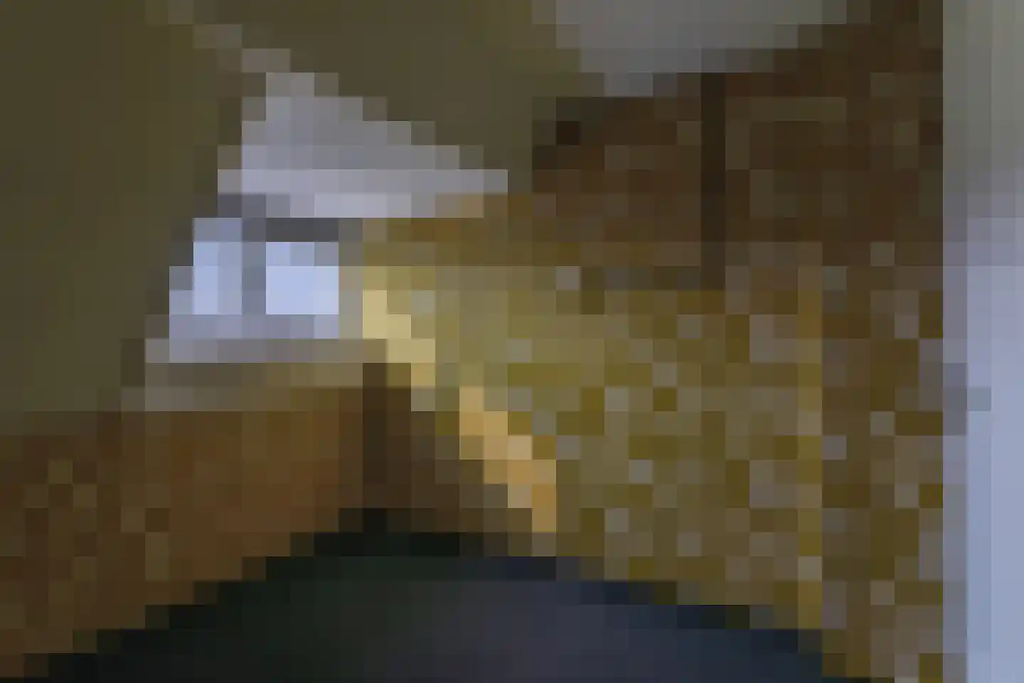 Pastoor Gielenstraat 38 Lutjebroek thumbnail 24