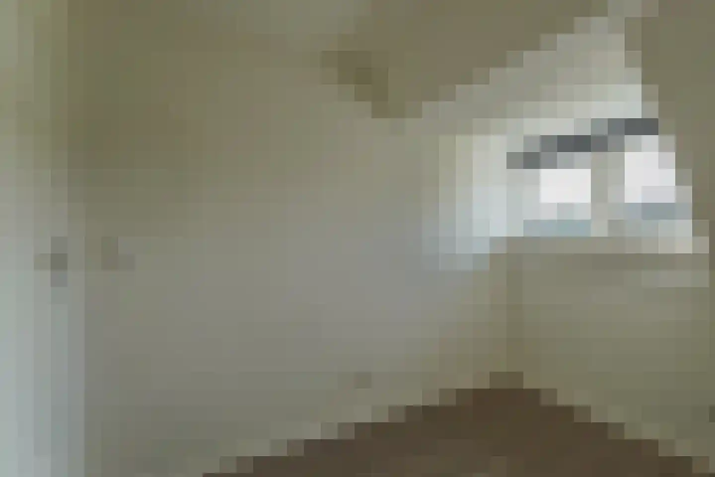 Pastoor Gielenstraat 38 Lutjebroek thumbnail 28