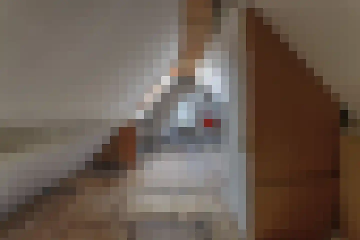 Pastoor Gielenstraat 38 Lutjebroek thumbnail 31