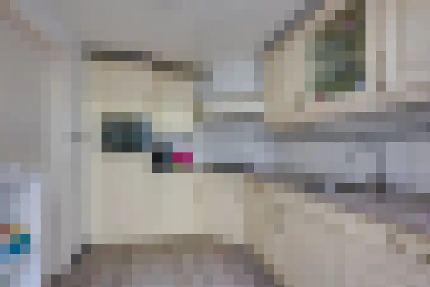 Pastoor Gillisstraat 135 Rijen thumbnail 18