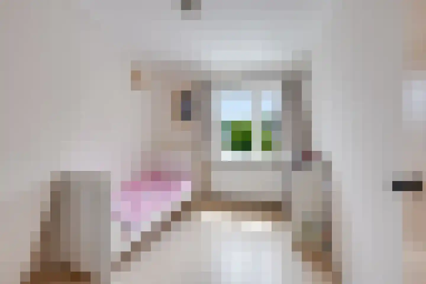Pastoor Gillisstraat 135 Rijen thumbnail 29