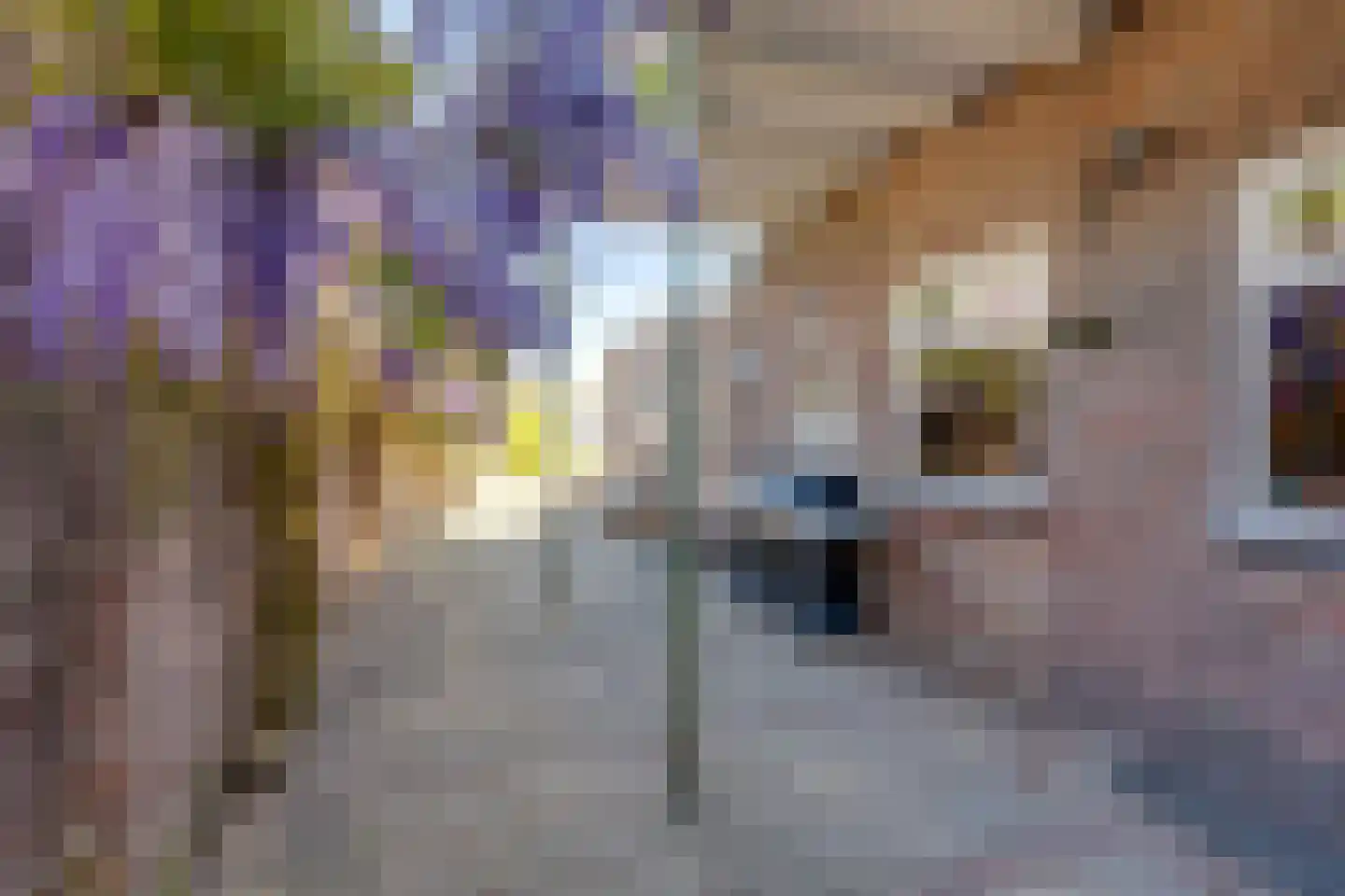 Pastoor Gillisstraat 24 Rijen thumbnail 31