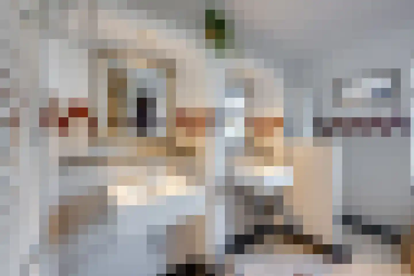 Pastoor Gillisstraat 24 Rijen thumbnail 61