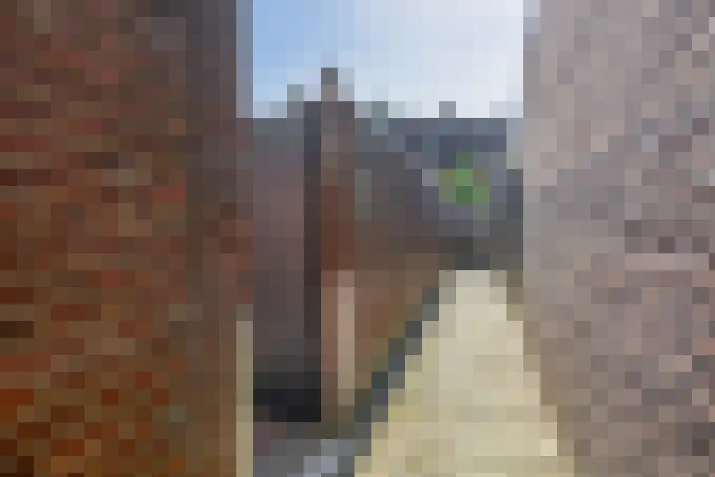Pastoor Goossensstraat 2 Venlo thumbnail 26