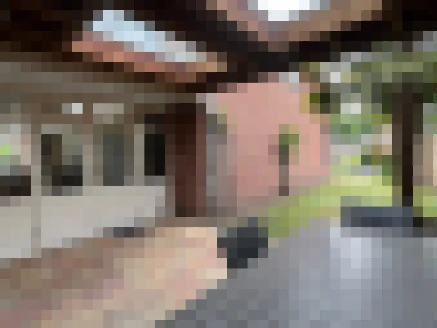 Pastoor Goossensstraat 29 Grashoek thumbnail 25