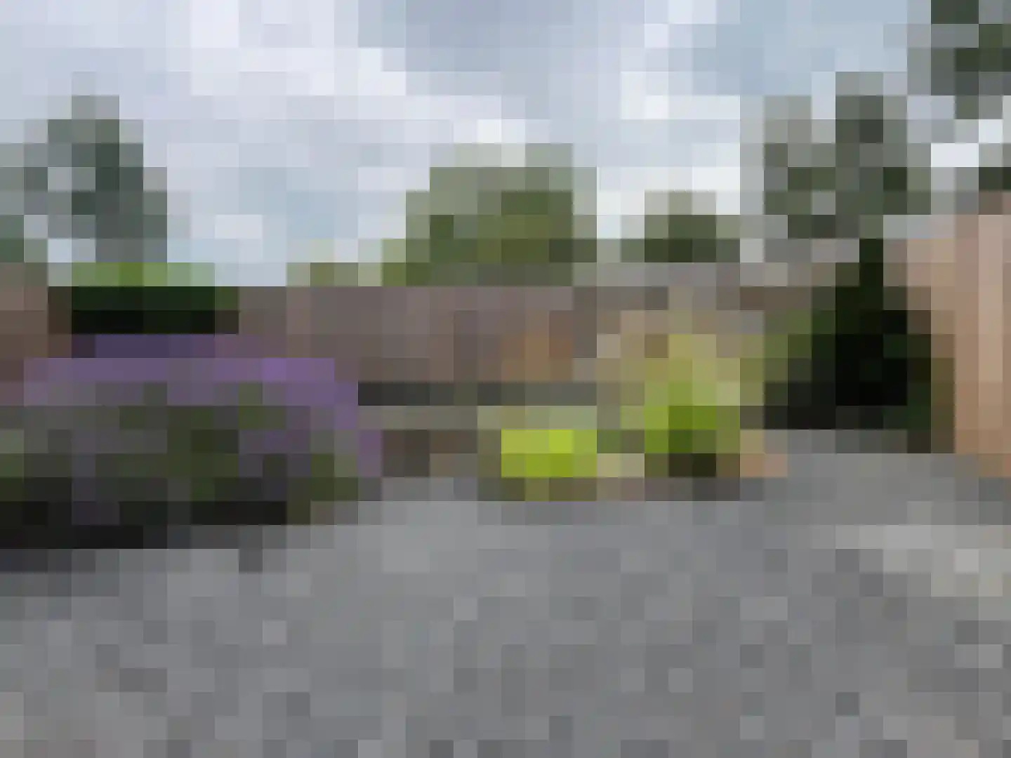 Pastoor Goossensstraat 29 Grashoek thumbnail 26